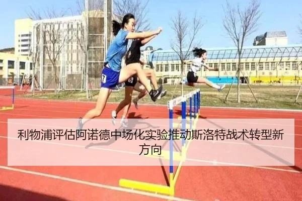 img_1783172288610_2338_0_832.jpg